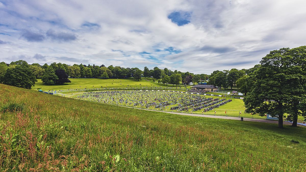 park green spaces