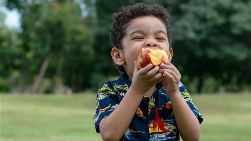 childhoodobesity publichealth