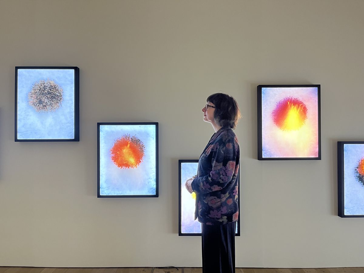 Contemporary Art Environmentalism