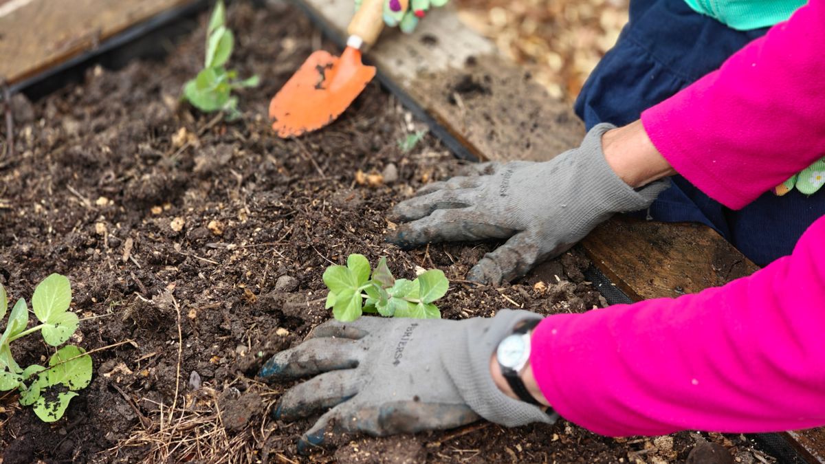 community development social impact